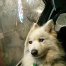 스테이 템포(stay tempo) 이미지