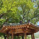 산이랑 강이랑 이미지