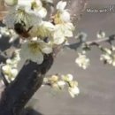 지리산농부마을 이미지