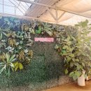 소매농장 | [실내농장체험] 포시즌힐링팜 수원 - 흙놀이부터 다육이 심기까지 아이랑 수원 나들이