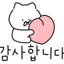 모리가나(주) 이미지