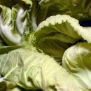 작은농원 이미지