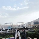 올레하우스산방산온천리조트 | 제주레일바이크 소요시간 예매 할인 아이랑 제주 가볼만한곳