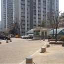서울류치과의원 Daum카페