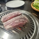 제주목장 네이버블로그