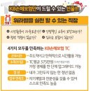 KB금융그룹 TC모집 이미지