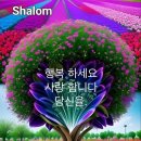 수지상사 이미지