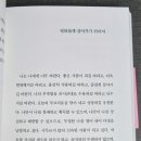 일홍 이미지
