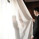 제이피카피