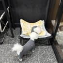 법수펜션 | 2026년 3월 일상 | 다다, 단짠이 그리고 뜬금이 탄생일