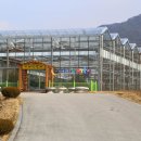 허브밸리(암석원) 이미지