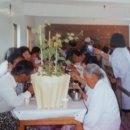 천태보건진료소 이미지