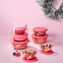 타파웨어 이미지