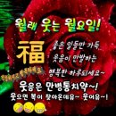 행복한 하루 - 서구 | 행복한 하루