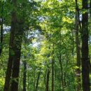 게장정식 이미지