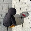 그대를 오직 그대를 봐요
