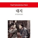 대지의 전개 이미지