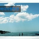 바다사랑펜션 | 강원도 묵호 동해 숙소 펜션 바다사랑펜션 바다가 보이는 펜션