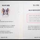 다다펫스파 이미지