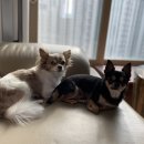 정재원농장 이미지