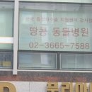 땅콩동물병원 이미지