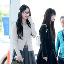 하니 이미지
