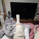 가좌연세정형외과의원 이미지