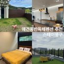 뭉구 애견 이미지