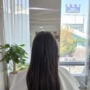 태민약국 | 부천히피펌, 역곡미용실 아르젠떼헤어 컷트+염색하고 느좋걸 됨