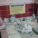 샌디아모텔 이미지