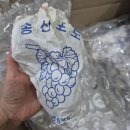 왕팜 | 제철과일 송산포도 뉴딜팜 주문 솔직후기
