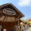 선녀마을작은도서관 | 서울어린이대공원 동물원 하루코스와 주차팁 (+장수탕선녀님)