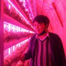 그린국제 특허법률사무소 이미지