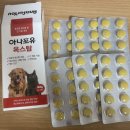 아나포유 옥스탑 노령견 영양제 시츄 급여 후기
