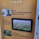 생태세밀화 | 국립대구과학관 난초의 숨결 세밀화 전시 아기랑 관람 후기