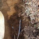 선상서로 이미지