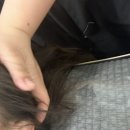 시온뷰티케어 - 593 | 시온뷰티케어