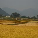 무선2길 이미지