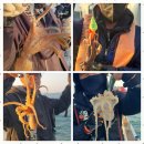 피싱1번지 네이버블로그