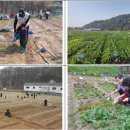 시정농장 이미지