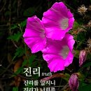 믿음 - 김제시 금성로 68 | 믿음