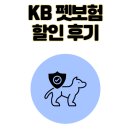 더펫동물병원 | KB 펫보험 강아지 보험 동물등록증 할인 후기