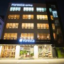 포레스타FORESTA 이미지