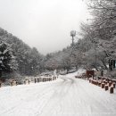 수리산산림욕장 이미지