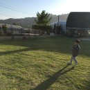 수원-0988 이미지