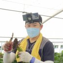 김창영농장 이미지