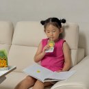 아이로운 태권도 이미지