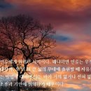 동행자 이미지