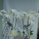 우곡초등학교 이미지