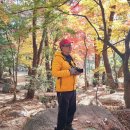 금강공원 이미지